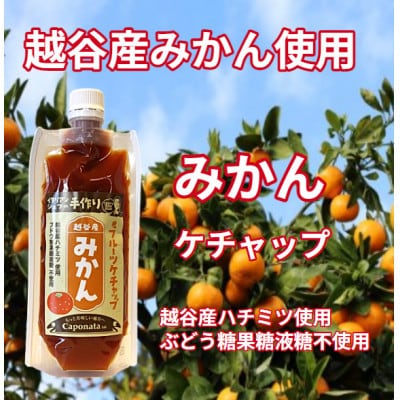 【フルーツケチャップ】 苺、メロン、みかんの3種類セットレシピ付き