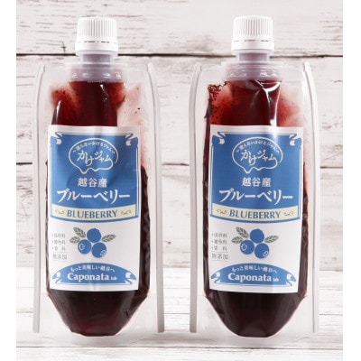 【パウチパック】ブルーベリーのかけジャムとあまりんのパウンドケーキセット