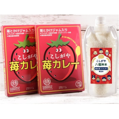 2人前【カレーライスセット】こしがや苺カレー・こしがや八福神米(無洗米)