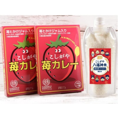 2人前【カレーライスセット】こしがや苺カレー・こしがや八福神米(無洗米)