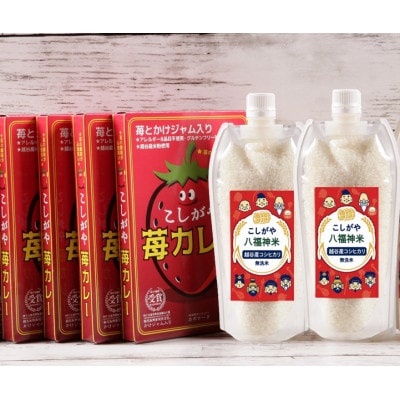 4人前【カレーライスセット】こしがや苺カレー・こしがや八福神米(無洗米)