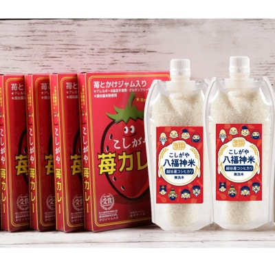 4人前【カレーライスセット】こしがや苺カレー・こしがや八福神米(無洗米)