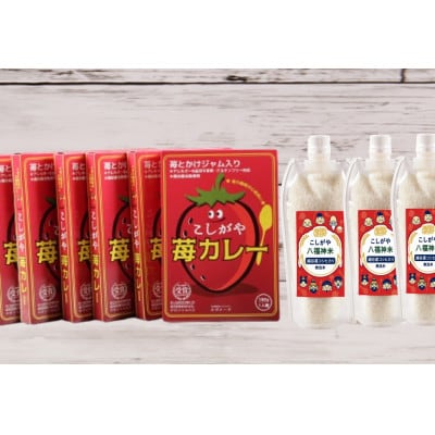 6人前【カレーライスセット】こしがや苺カレー・こしがや八福神米(無洗米)