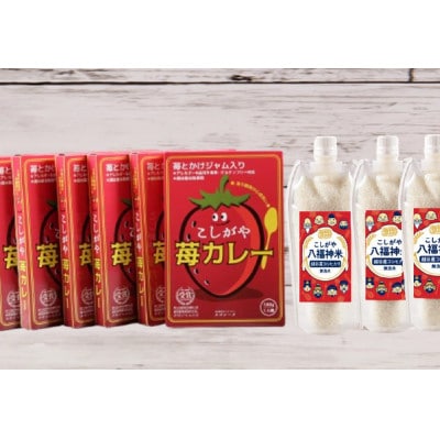 6人前【カレーライスセット】こしがや苺カレー・こしがや八福神米(無洗米)