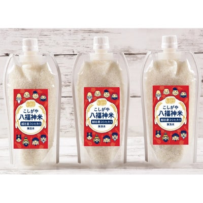 6人前【カレーライスセット】こしがや苺カレー・こしがや八福神米(無洗米)