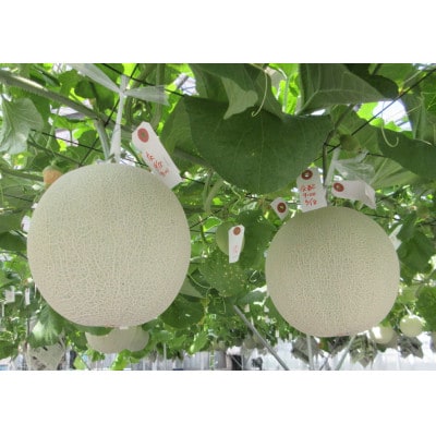 【ボトル瓶】メロンのかけジャムとあまりんのパウンドケーキセット