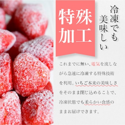 ☆お母さん応援☆ レシピ付き おいしい冷凍いちご1kg