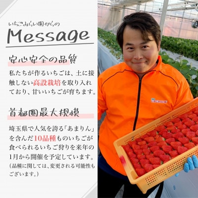 ☆お母さん応援☆ レシピ付き おいしい冷凍いちご1kg