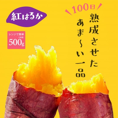 【2024年12月以降発送予定】【100日以上熟成!】 壺焼き芋(紅はるか)スイーツ焼き芋 500g