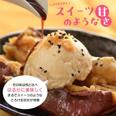 【2024年12月以降発送予定】【100日以上熟成!】 壺焼き芋(紅はるか)スイーツ焼き芋 500g