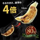 【入金確認後、7営業日以内に発送】餃子 BIGり仰天!ドリームジャンボ 10個 (計800g)