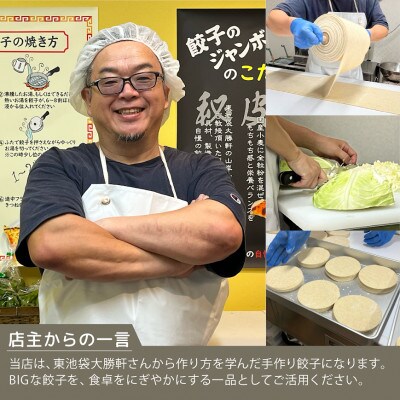 【入金確認後、7営業日以内に発送】餃子 BIGり仰天!ドリームジャンボ餃子 20個 (計1.6kg)