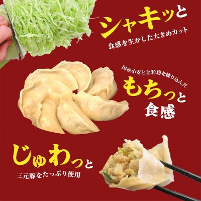 餃子 ミニでも夢のある食べ応え! ミニジャンボ餃子 28g×60個(1.68kg)　国産豚 野菜使用