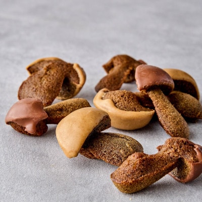 フィナンシエ「ポルチーニショコラ」