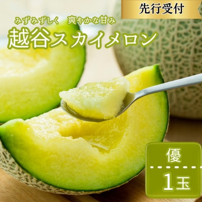 越谷スカイメロン 優 1玉(約1.5kg)