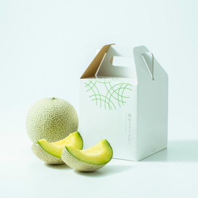 越谷スカイメロン 優 1玉(約1.5kg)