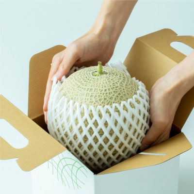 越谷スカイメロン 優 1玉(約1.5kg)