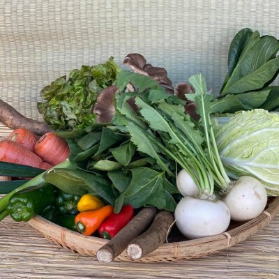 『身体が喜ぶ野菜』詰め合わせ(おまかせ10～12品)