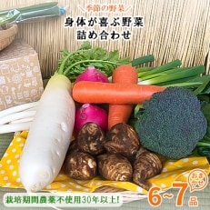 【ハーフサイズ】栽培期間農薬不使用『身体が喜ぶ野菜』詰め合わせ(おまかせ)潮来はぐくみのもり