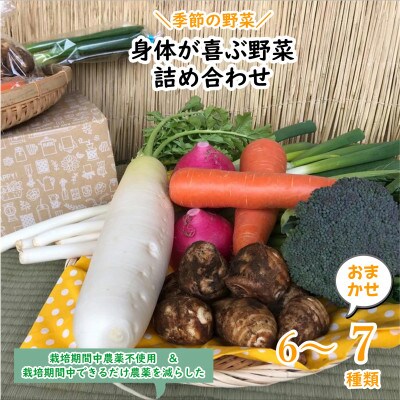 【ハーフサイズ】『身体が喜ぶ野菜』詰め合わせ(おまかせ)潮来はぐくみのもり