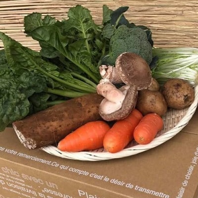 【ハーフサイズ】『身体が喜ぶ野菜』詰め合わせ(おまかせ)潮来はぐくみのもり