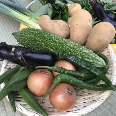 【ハーフサイズ】『身体が喜ぶ野菜』詰め合わせ(おまかせ)潮来はぐくみのもり