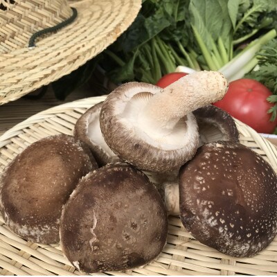 【ハーフサイズ】『身体が喜ぶ野菜』詰め合わせ(おまかせ)潮来はぐくみのもり