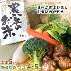 【2023年9月下旬発送】【玄米5kg】栽培期間農薬不使用『身体が喜ぶ野菜とお米』詰め合わせ