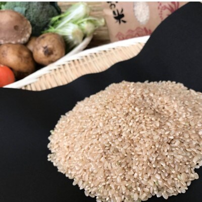 【玄米5kg】『身体が喜ぶ野菜とお米』詰め合わせ(おまかせ)潮来はぐくみのもり