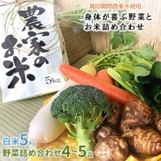 【2023年2月中旬発送】【白米5kg】栽培期間農薬不使用『身体が喜ぶ野菜とお米』詰め合わせ