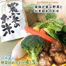 【白米2kg】栽培期間農薬不使用『身体が喜ぶ野菜とお米』詰め合わせ(おまかせ)潮来はぐくみのもり