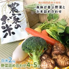 【2023年2月中旬発送】【白米2kg】栽培期間農薬不使用『身体が喜ぶ野菜とお米』詰め合わせ