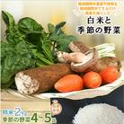 【白米2kg】『身体が喜ぶ野菜とお米』詰め合わせ(おまかせ)潮来はぐくみのもり