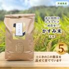 令和7年産新米　栽培期間出来るだけ農薬を減らして作った「かすみ米」玄米 5kg