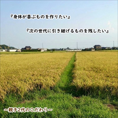 令和7年産新米 【栽培期間中農薬不使用】こしひかり 白米10kg茨城県共通返礼品・行方市産