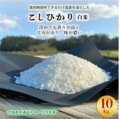 令和7年産新米　栽培期間中できるだけ農薬を減らした【こしひかり】白米10kg茨城共通返礼品・行方産