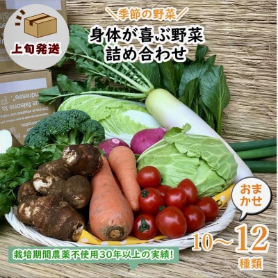 【発送月固定定期便】『身体が喜ぶ野菜』詰め合わせ(おまかせ10～12品)上旬発送全10回