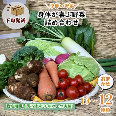 【発送月固定定期便】『身体が喜ぶ野菜』詰め合わせ(おまかせ10～12品)下旬発送全10回