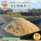 【3ヵ月毎定期便】栽培期間中できるだけ農薬を減らすこしひかり玄米10kg茨城共通返礼品行方産全3回