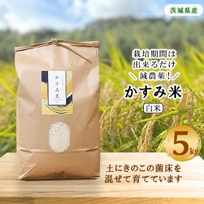 【毎月定期便】心と身体が踊りだす栽培期間中出来るだけ農薬を減らして作る「かすみ米」白米5kg全12回