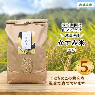 【毎月定期便】心と身体が踊りだす栽培期間中出来るだけ農薬を減らして作る「かすみ米」玄米5kg全12回