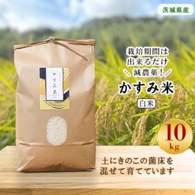 【毎月定期便】栽培期間出来るだけ農薬を減らして作る「かすみ米」白米10kg全12回