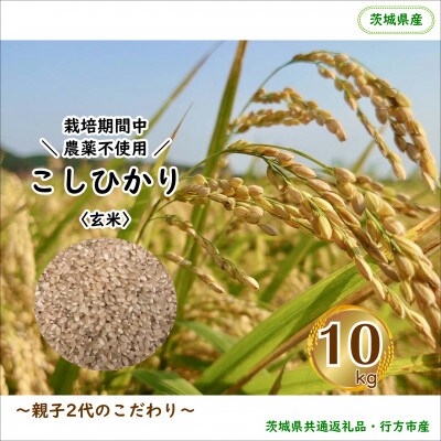 【毎月定期便】【栽培期間中農薬不使用】こしひかり玄米10kg茨城県共通返礼品・行方市産全12回