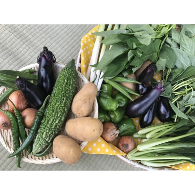 【発送月固定定期便】『身体が喜ぶ野菜』季節の詰め合わせ(おまかせ10～12品)全10回