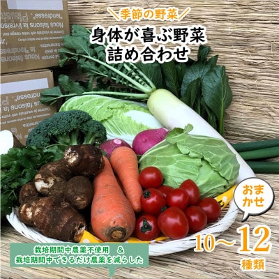 【発送月固定定期便】『身体が喜ぶ野菜』季節の詰め合わせ(おまかせ10～12品)全10回