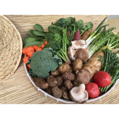 【発送月固定定期便】『身体が喜ぶ野菜』季節の詰め合わせ(おまかせ10～12品)全10回