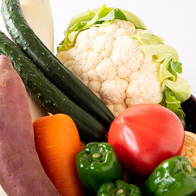 旬の新鮮野菜詰合せセット