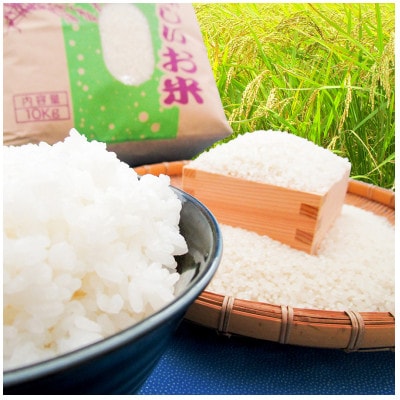 潮来市産　令和7年産特別栽培米コシヒカリ精米5kg