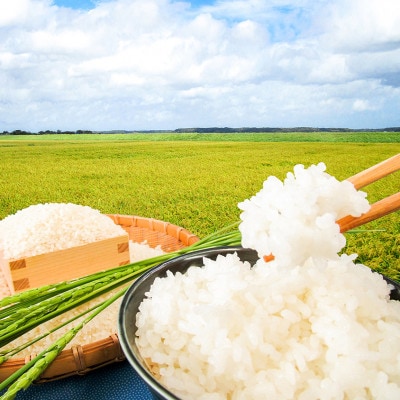 潮来市産【令和7年産】特別栽培米コシヒカリ　玄米10kg