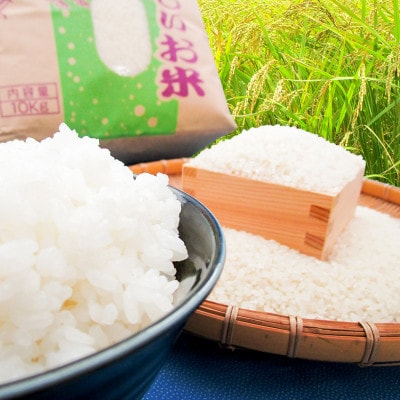 潮来市産【令和7年産】特別栽培米コシヒカリ　玄米10kg